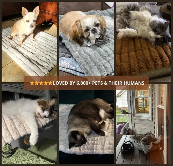 Self Warming Pet Mat